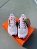 Giày Chạy Bộ Air Zoom Pegasus 41 - FD2723 109