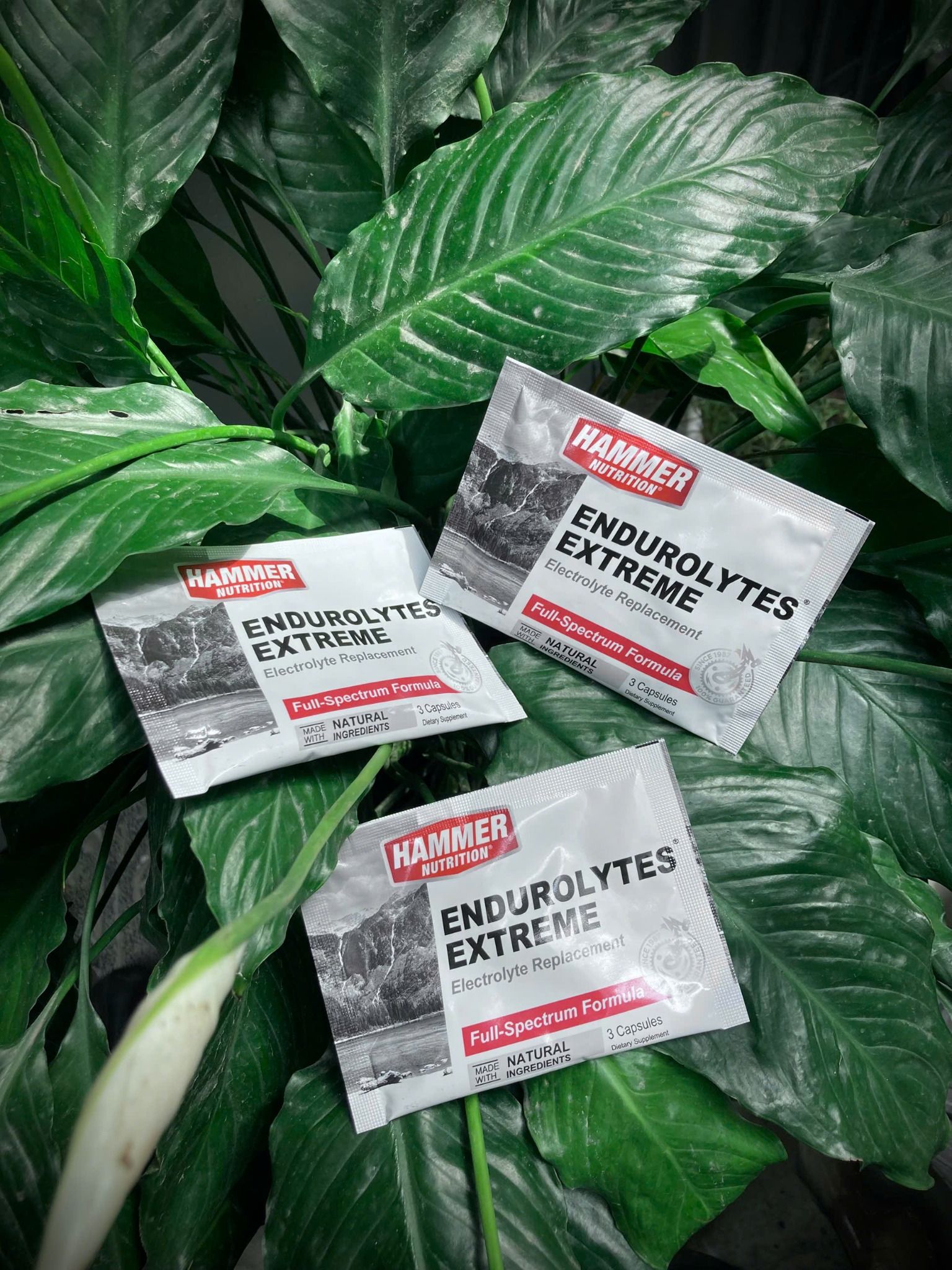 Muối Hammer/Endurolytes Extreme 24x3 Caps (1 gói 3 viên)