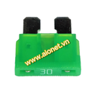  TD9600001200 Cầu chì 30A 