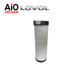  RGV2505010031- Lọc gió tinh 