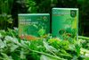 Combo 3 hộp Bột cần tây sấy lạnh nguyên chất và 3 hộp Bột cần tây cỏ ngọt Dalat Ichifoods