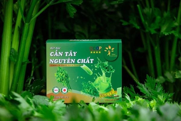 Bột cần tây sấy lạnh nguyên chất - Chứng nhận FDA, VietGap 4sao - An toàn cho sức khỏe