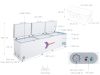Tủ đông Sanaky Inverter 1143.5 lít VH1399HY3