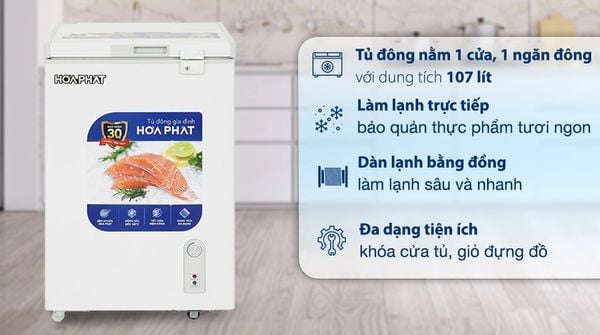 Tủ đông Hòa Phát 107 Lít HPF AD6107