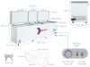 Tủ đông Sanaky Inverter 900 lít VH1199HY3