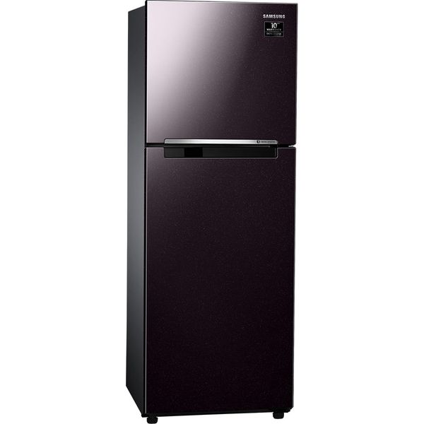Tủ lạnh Samsung Inverter 236 lít RT22M4032BY/SV