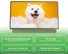 Tivi Xách Tay Di Động Full HD Coocaa 24 Inch 24LP6000G