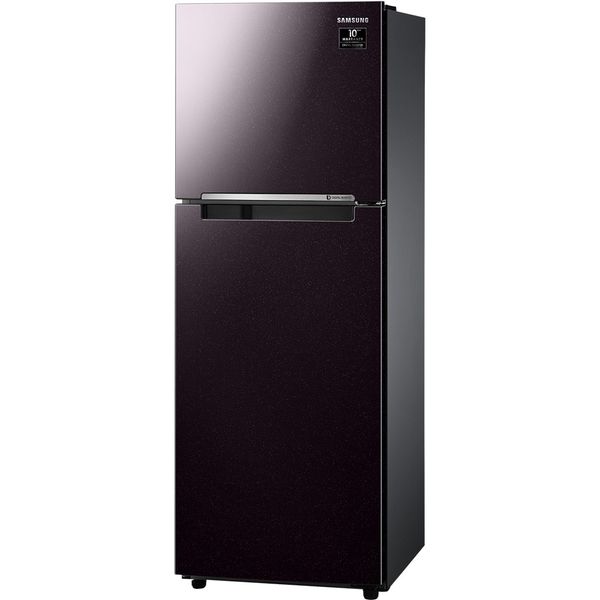 Tủ lạnh Samsung Inverter 236 lít RT22M4032BY/SV