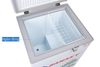 Tủ đông Sanaky 100 lít VH-1599HYK
