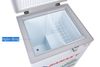 Tủ đông Sanaky 100 lít VH-1599HYK