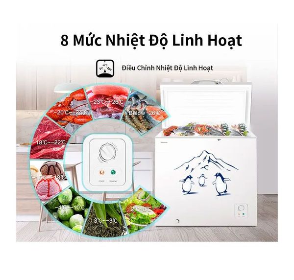 Tủ đông Hisense 202 lít FC260D4EWC1