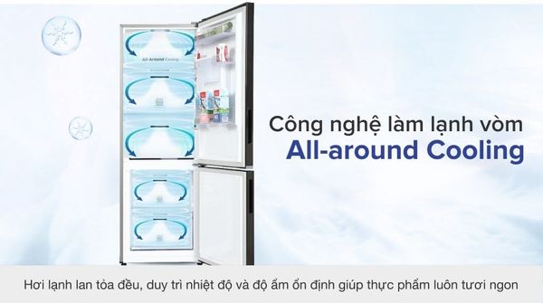 Tủ lạnh Samsung Inverter 307 lít RB30N4190BY/SV