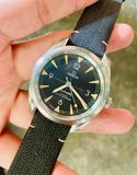  Omega Railmaster 220.12.40.20.01.001 Co‑Axial Master 40 