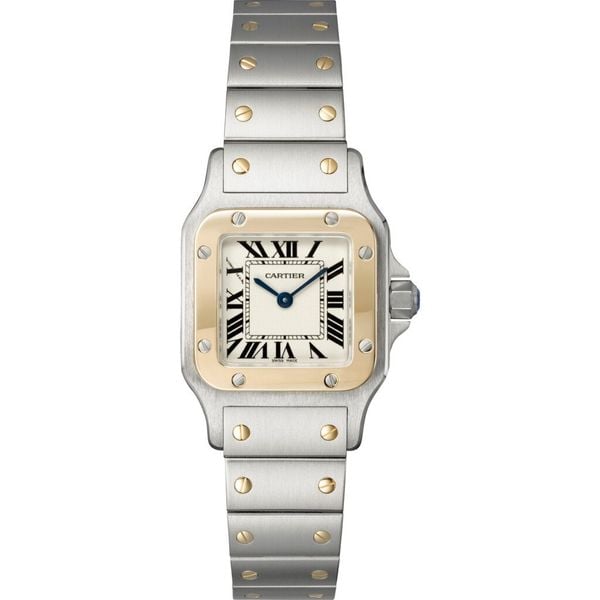 Cartier Santos De Cartier W20012C4 Watch 26.2 x 34.8