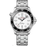  Omega Seamaster 210.30.42.20.04.001 42mm 