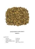 Café Robusta du Vietnam Grade 1 - Crible 16
