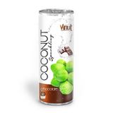  250ml VINUT Canned Premium Quality Coconut Sparkling Water with Watermelon juice 