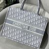 Túi Nữ Dior - TNTT81
