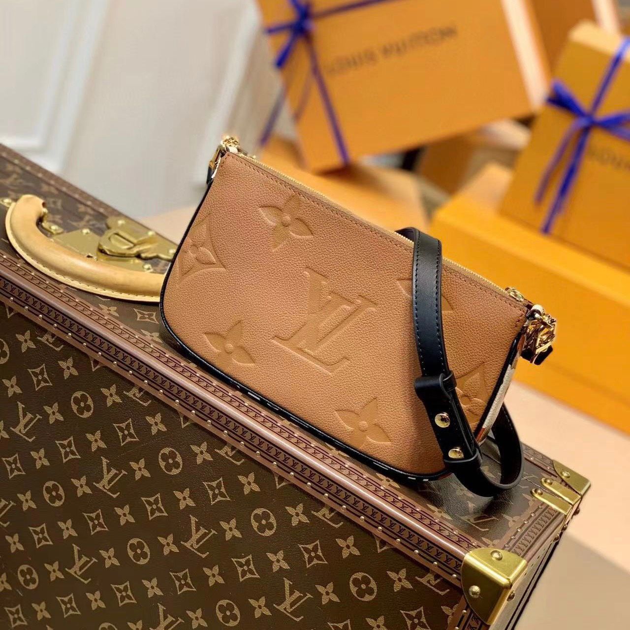 Túi Nữ Louis Vuitton - TNTT40