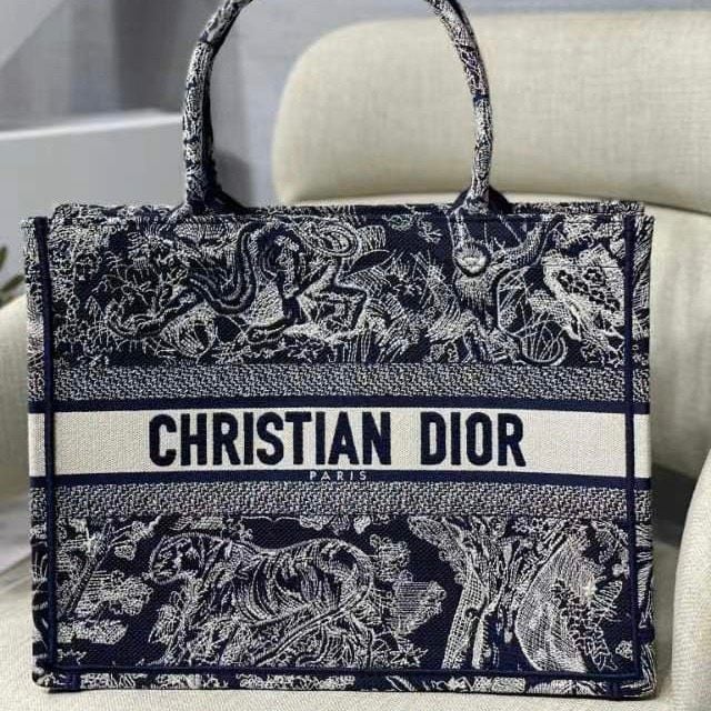 Túi Nữ Dior - TNTT79