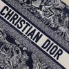 Túi Nữ Dior - TNTT79