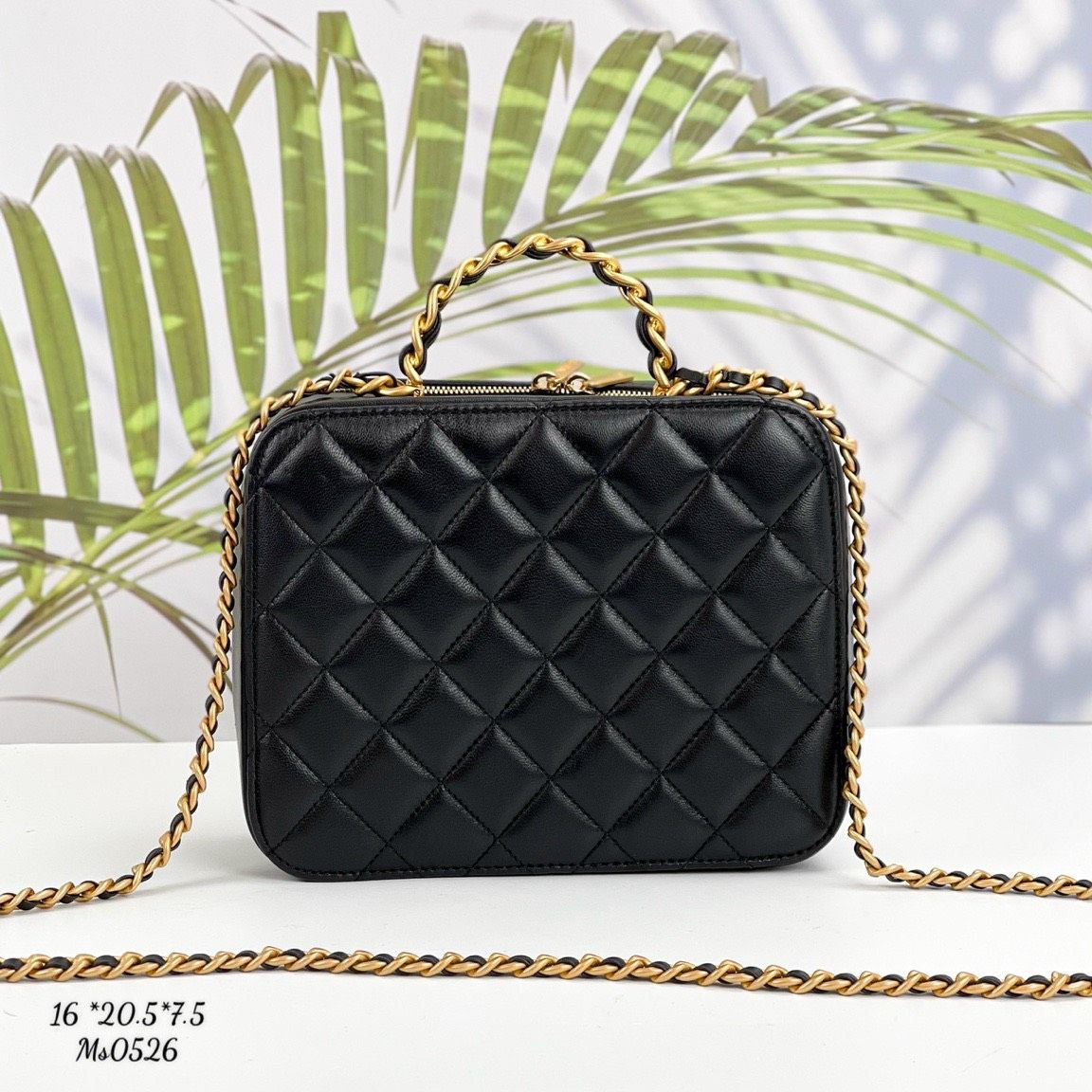 Túi Nữ Chanel - TNTT100
