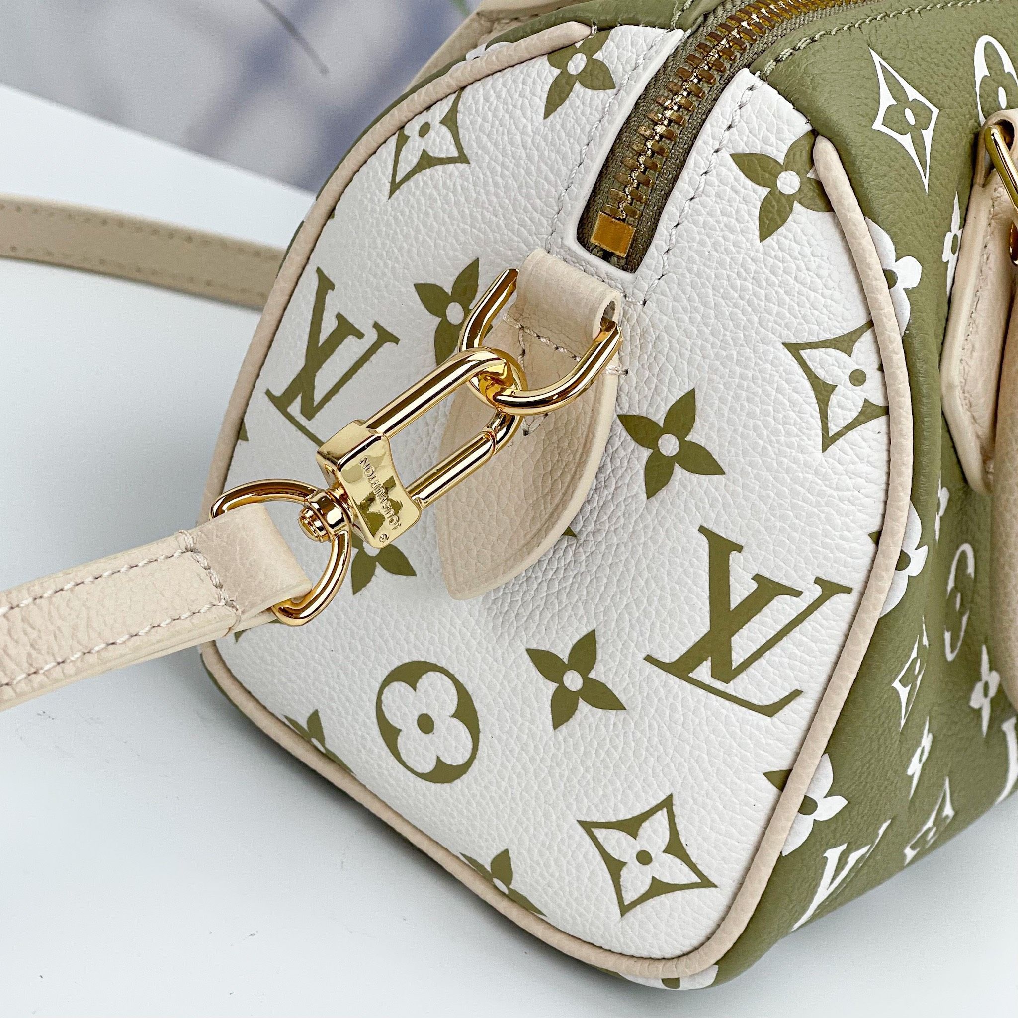 Túi Nữ Louis Vuitton - TNTT26