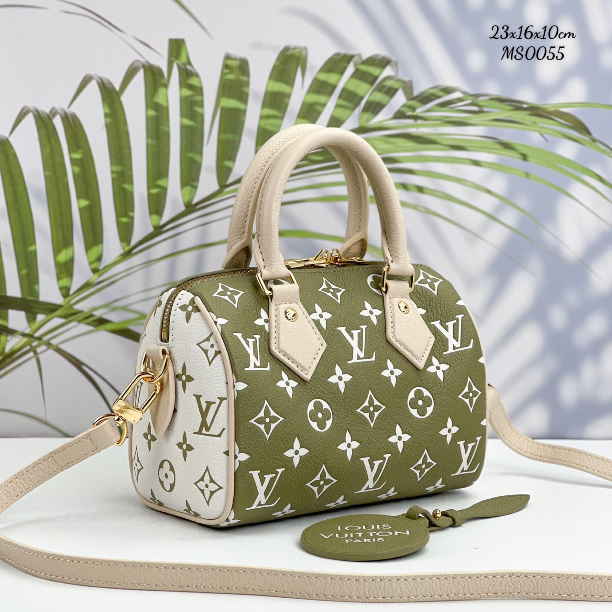 Túi Nữ Louis Vuitton - TNTT26