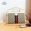 Túi Nữ Gucci - TNTT124