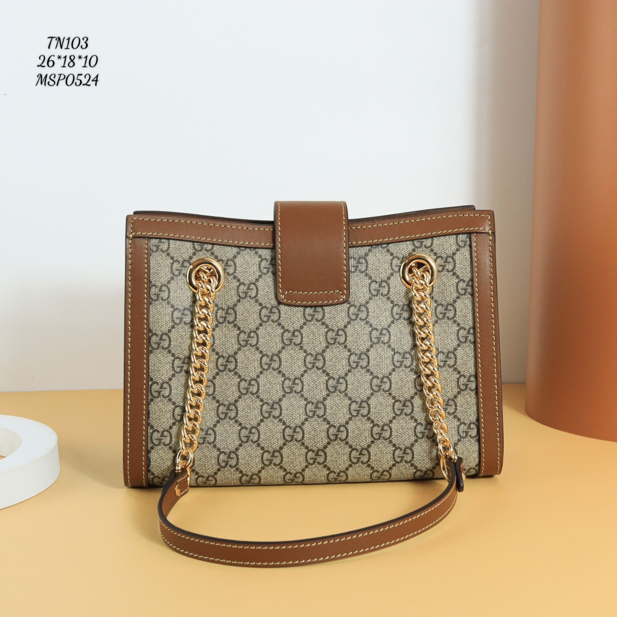 Túi Nữ Gucci - TNTT125