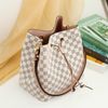 Túi Nữ Louis Vuitton - TNTT149