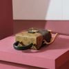 Túi Nữ Louis Vuitton - TNTT111