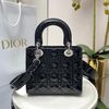 Túi Nữ Dior - TNTT75