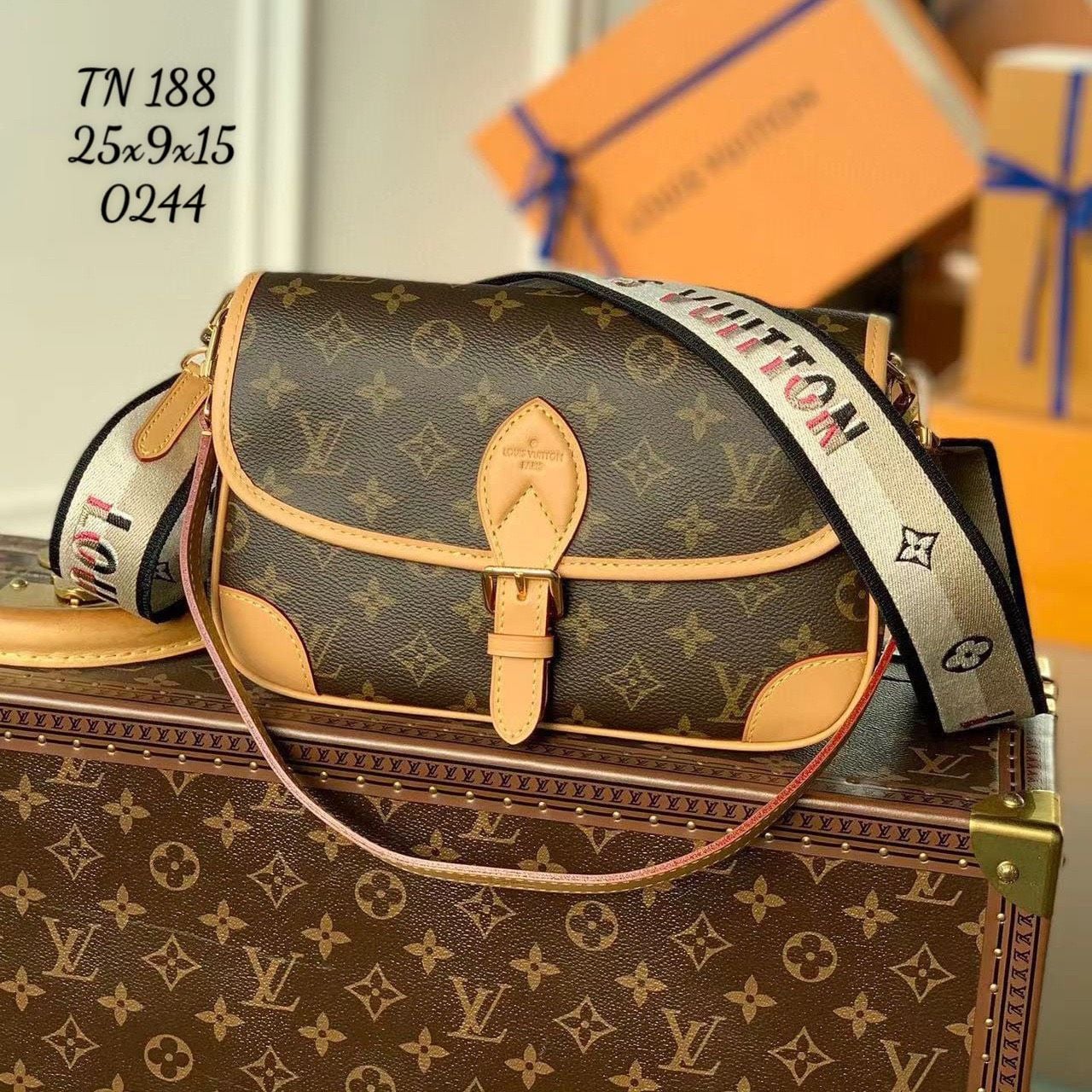 Túi Nữ Louis Vuitton - TNTT10