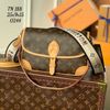 Túi Nữ Louis Vuitton - TNTT10