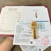 ROLEX DAY-DATE 36 MM - Đồng Hồ Rolex - Nam - DHNTT504