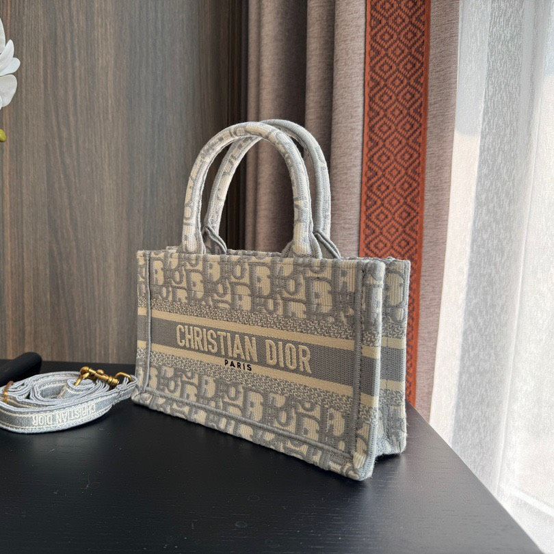 Túi Nữ Dior - TNTT72