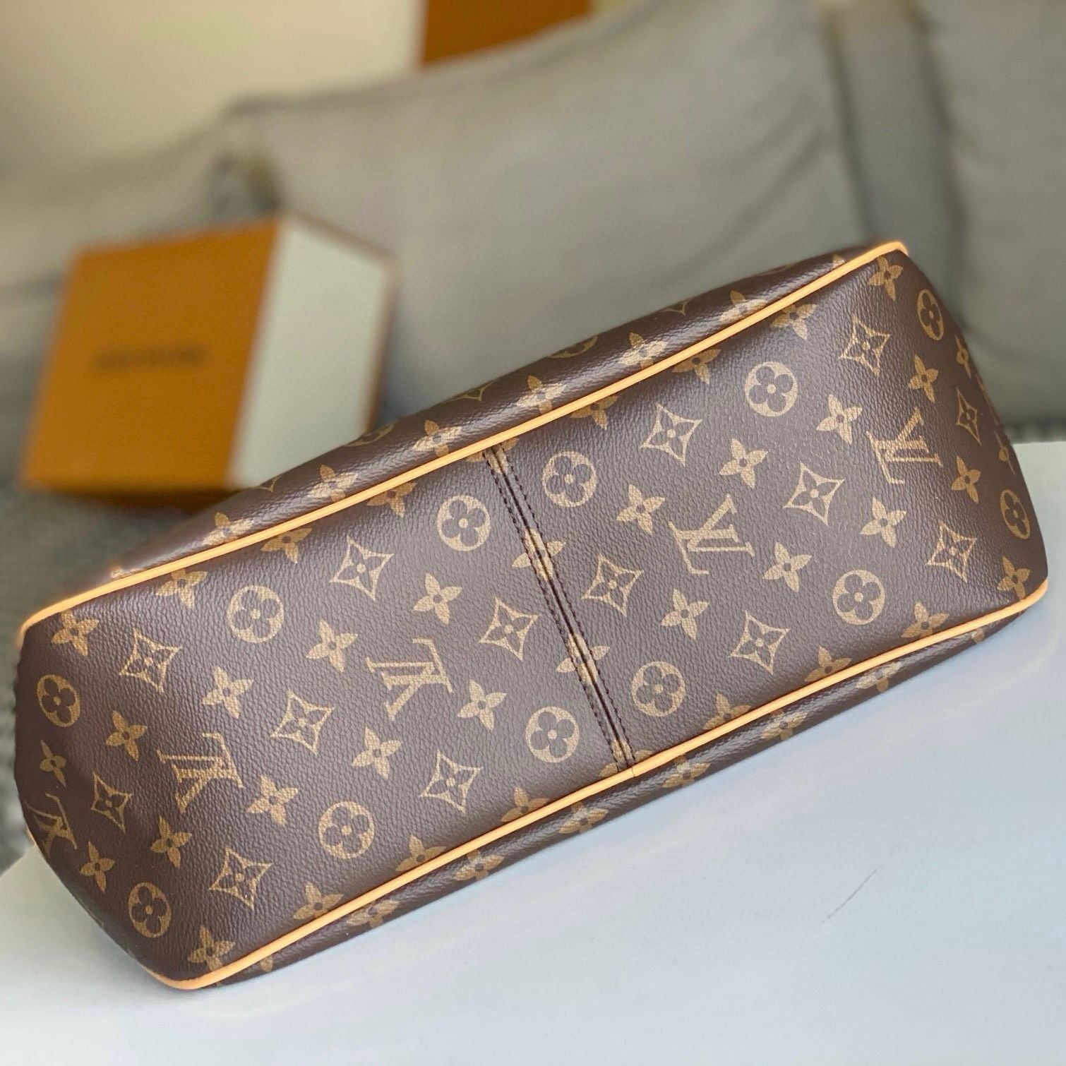 Túi Nữ Louis Vuitton - TNTT59