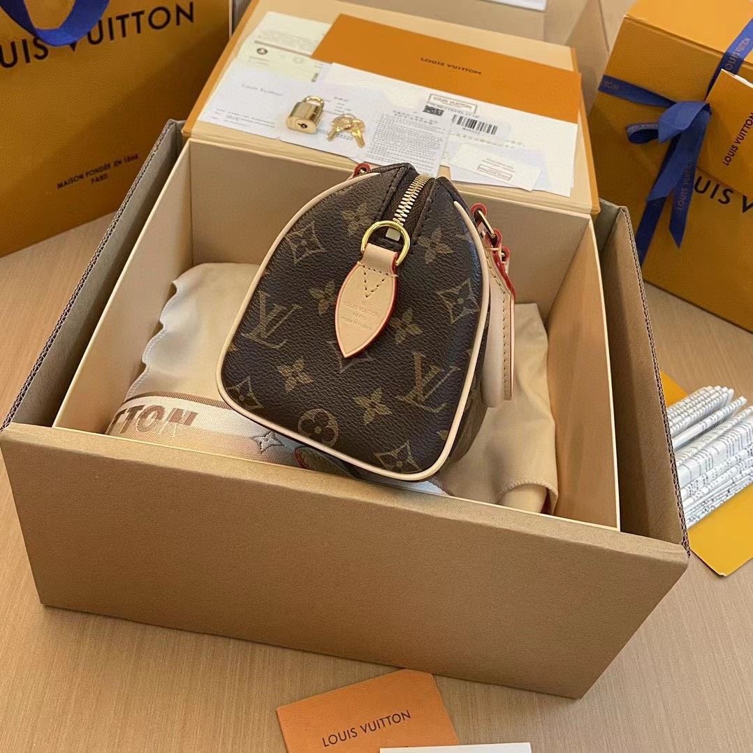 Túi Nữ Louis Vuitton - TNTT46
