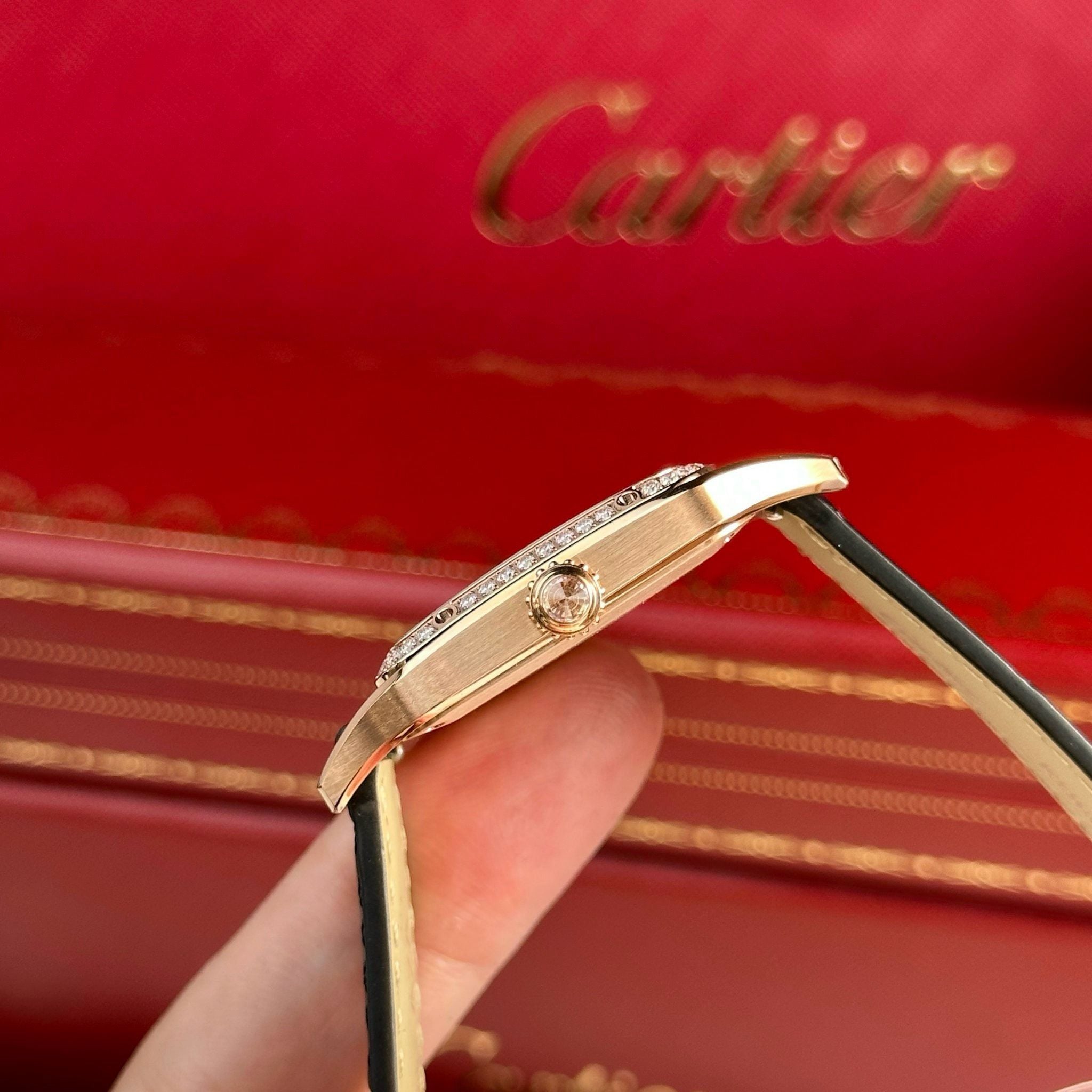 CARTIER SANTOS DUMONT 31 MM - Đồng Hồ Cartier - Nam - DHNTT1790