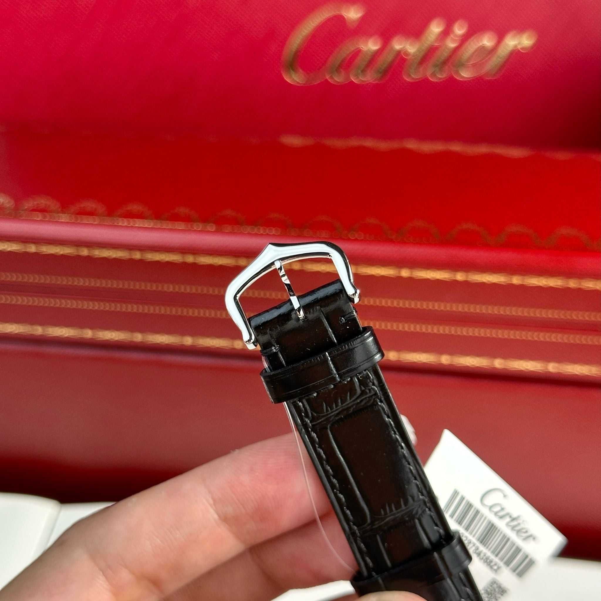 CARTIER SANTOS DUMONT 31 MM - Đồng Hồ Cartier - Nam - DHNTT1544