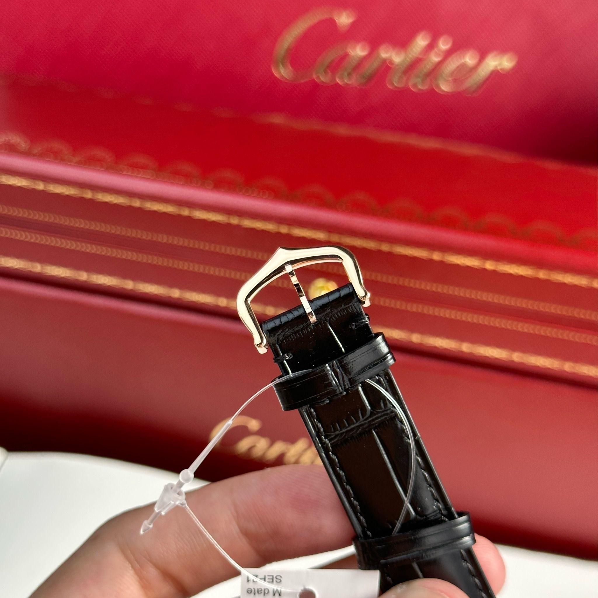 CARTIER SANTOS DUMONT 31 MM - Đồng Hồ Cartier - Nam - DHNTT1790