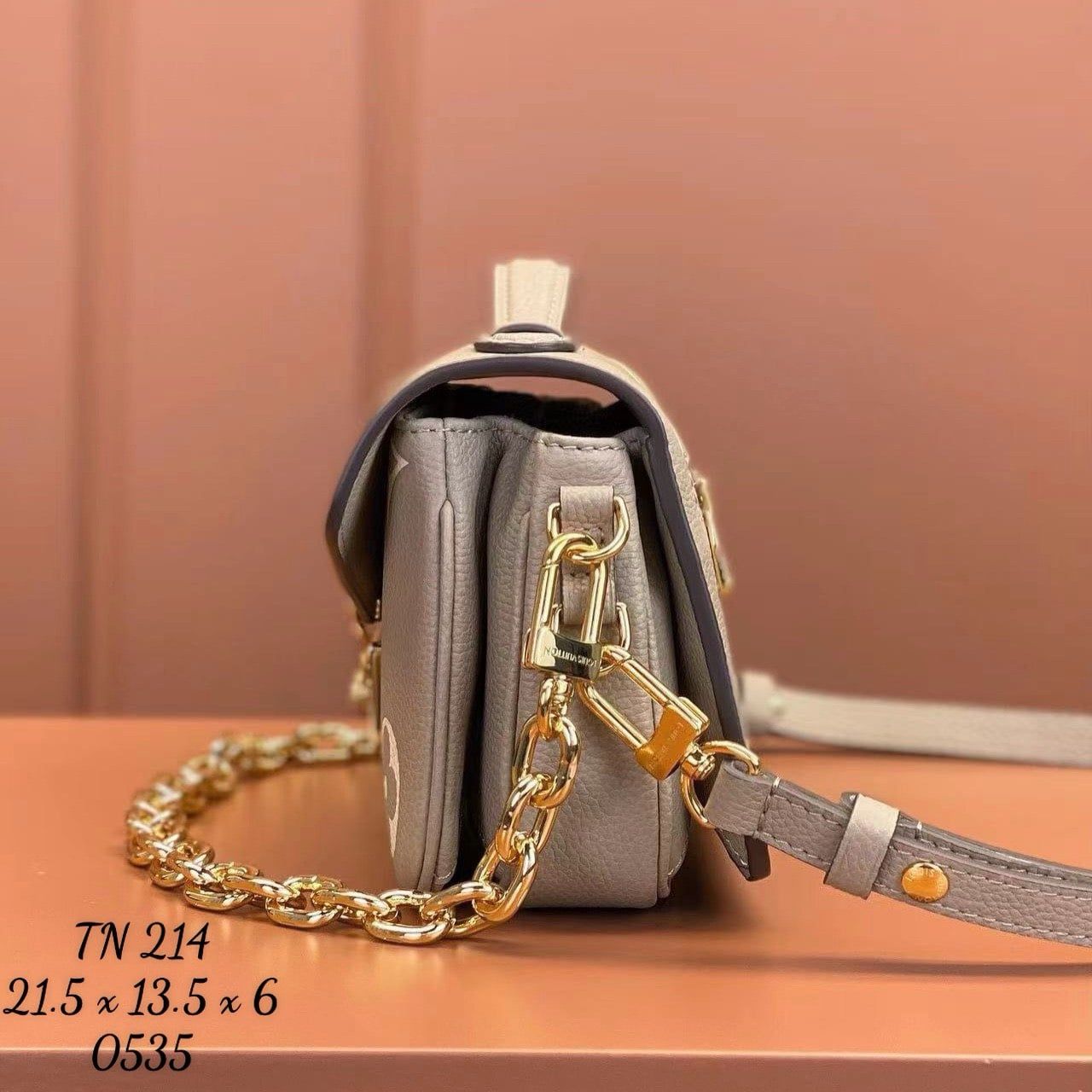 Túi Nữ Louis Vuitton - TNTT51