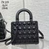 Túi Nữ Dior - TNTT170