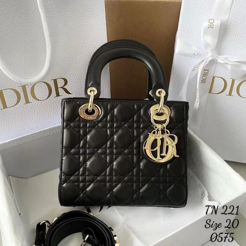 Túi Nữ Dior - TNTT172