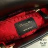 Túi Nữ Dior - TNTT172
