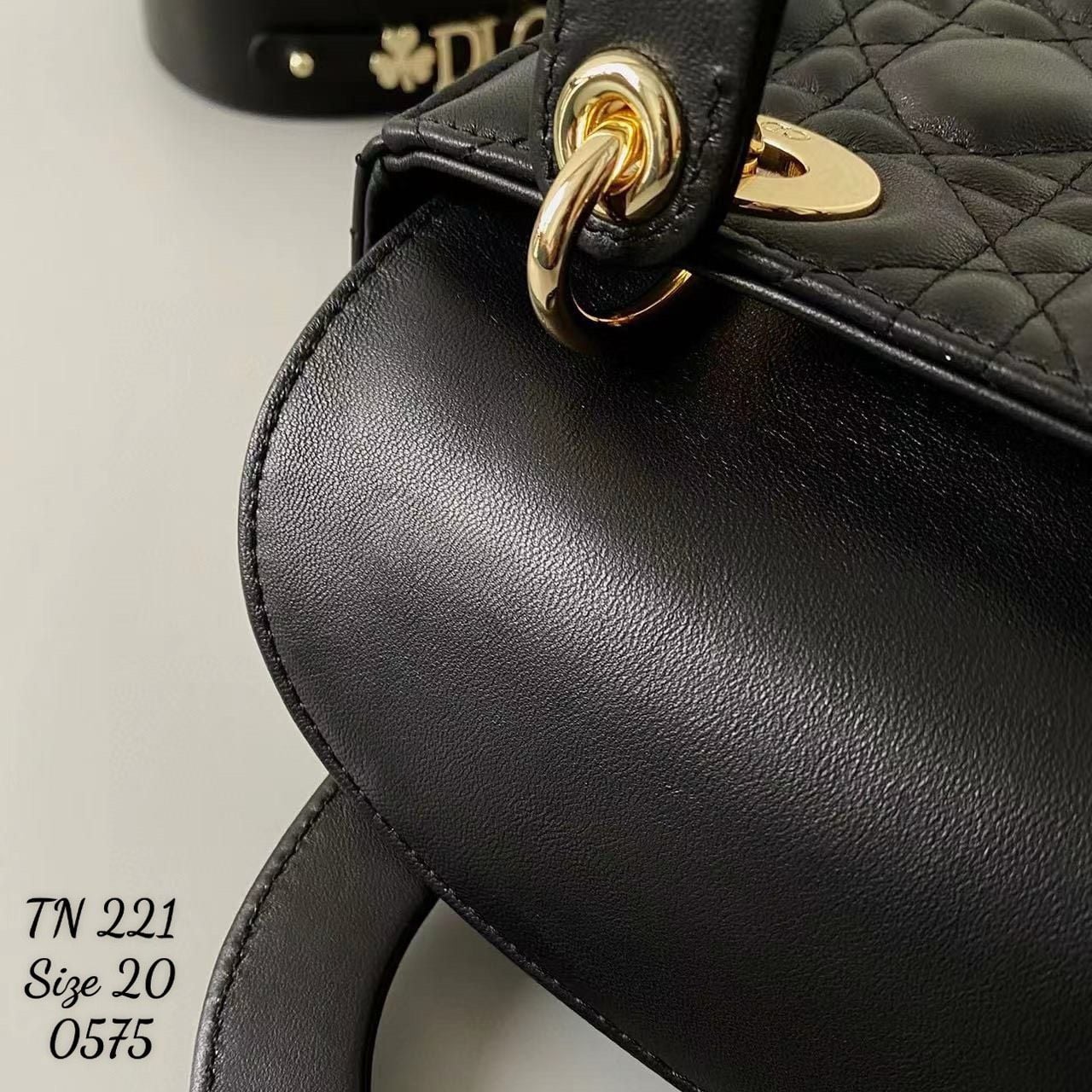 Túi Nữ Dior - TNTT172