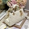 Túi Nữ Dior - TNTT178