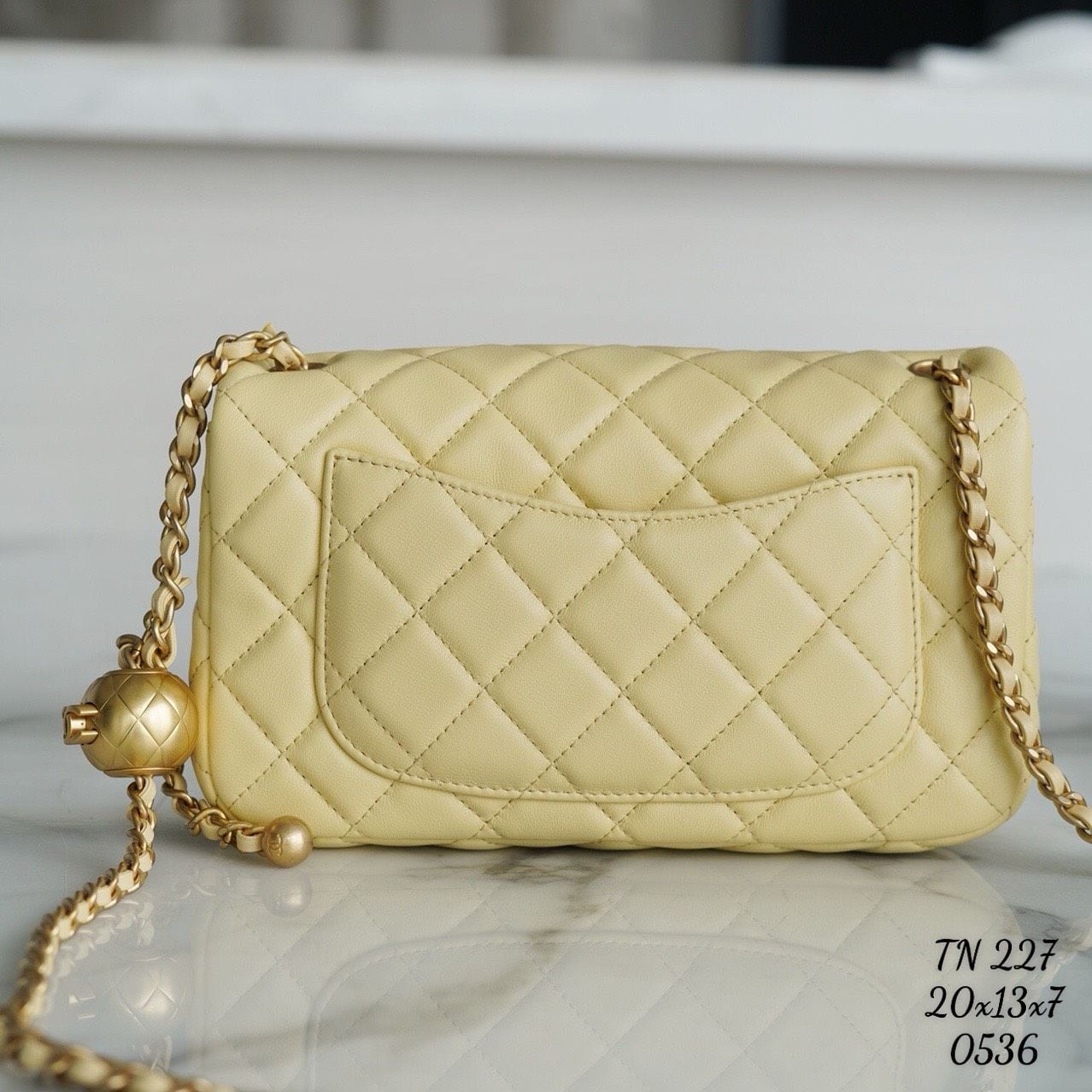 Túi Nữ Chanel - TNTT180