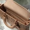 Túi Nữ Dior - TNTT192